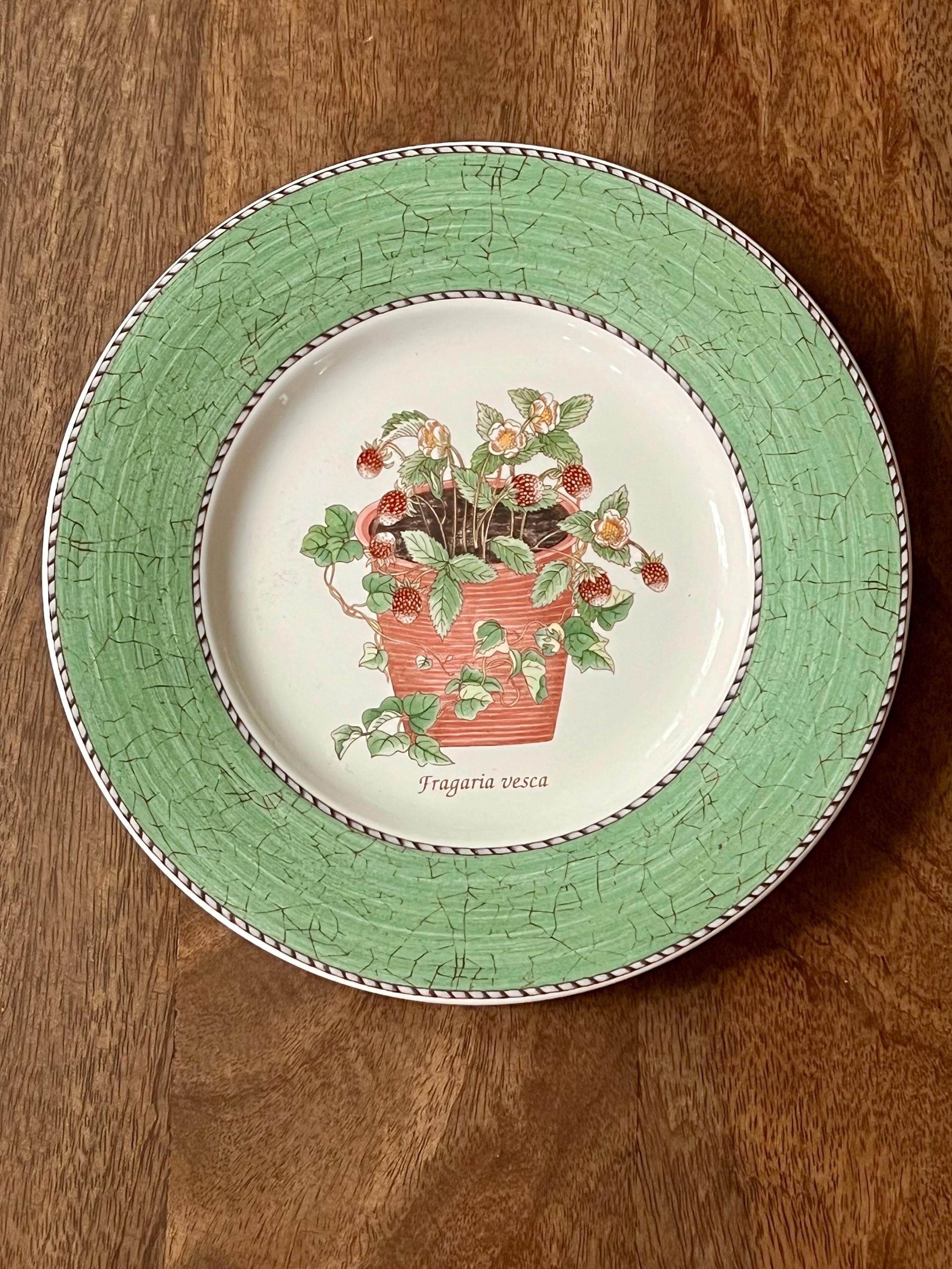 Wedgwood Sarah's Garden - Etsy