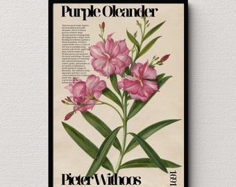 Pieter Withoos Purple Oleander Print, Vintage Botanical Decor (Digital Download)
