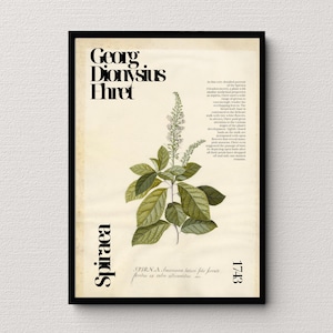 Georg Dionysius Ehret&#39; Spiraea, Vibrant Wall Art, Beautiful Botanical Decor, Fresh Wild Meadowsweet Flowers, Art Poster