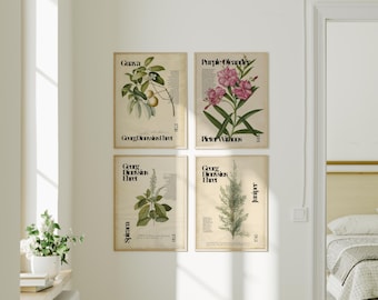 Vintage Botanical Print Set, 4 Digital Downloads of Guava, Purple Oleander, Spirea, Juniper