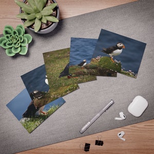 Assorted Puffin Greeting Cards - North Atlantic Sea Bird