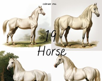 Horse Clipart PNG: 19 Animal Bundle for Card Making (Digital Download)