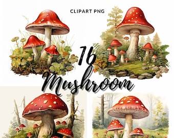 Mushroom Clipart PNG: 16 Fungi PNG (Digital Download)