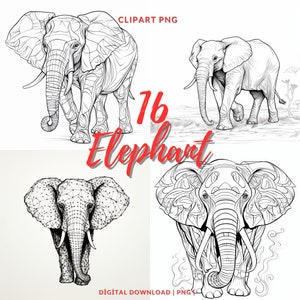 Elefante Clipart PNG - 16 imágenes de elefantes de arte lineal, paquete de elefantes geométricos PNG, uso comercial, elefante blanco y negro Clipart PNG