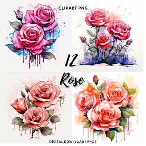 Rose Clipart: 12 PNG Illustrationen (Digitaler Download)