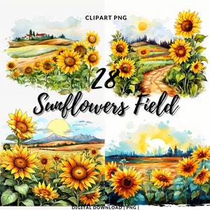 Clipart de girassol PNG, pacote de 28 imagens de girassóis, clipart de girassóis, clipart de flores em aquarela, criação de cartão digital