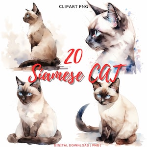 Watercolor Siamese Cat Clipart: 20 PNG Images (Digital Download)