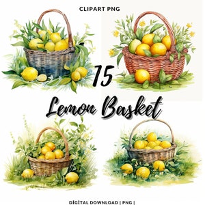 Lemon Basket Watercolor Clipart: 15 PNG Images (Commercial Use)