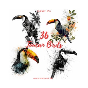Bird Clipart PNG, 36 Toucan Bird Images Bundle, Toucan Illustration Clipart, Exotic Bird Png, Toucan Clipart, Digital Craft, Commercial Use