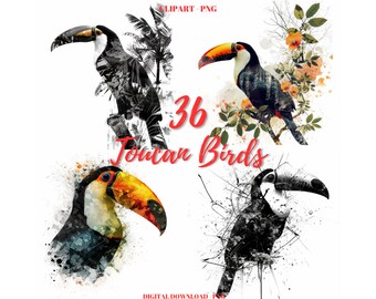 Toucan Bird Clipart: 36 Exotic PNG Images, Commercial Use (Digital Download)