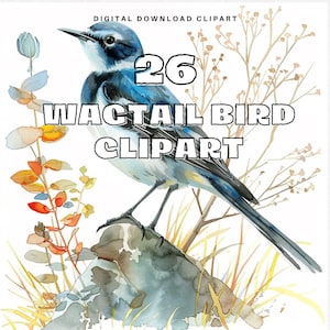Puede incluir: Una ilustración de acuarela de un pájaro lavandera azul y blanco posado en una roca con follaje marrón y verde. El texto "26 WAGTAIL BIRD CLIPART" está escrito en letras negras.