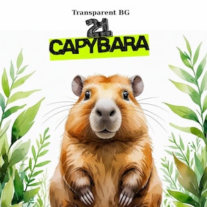 21 Capybara Clipart | Cute Capybara Transparent Background | Funny Animal Cartoon Illustrations | Digital Download Bundle, PNG JPG