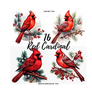 Weihnachtsvögel Clipart PNG, 16 Rotkardinal Bilder Bundle, kommerzielle Nutzung, Kartenherstellung, digitales Papiermodell, frohe Weihnachten