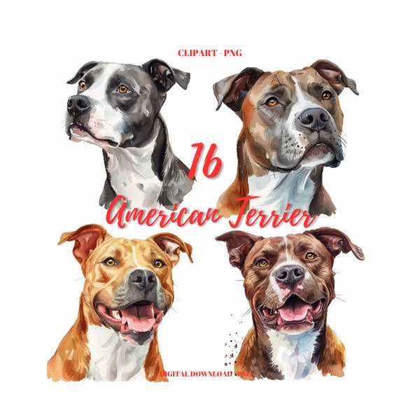 American Staffordshire Terrier Pitbull Clipart PNG, American Pitbull Images Bundle, Watercolor Pitbull Clipart, Pet Portrait Clipart