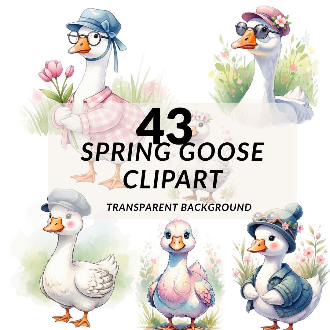Watercolor Goose Clipart PNG Bundle, 43 Rustic Farm Goose Illustrations ...