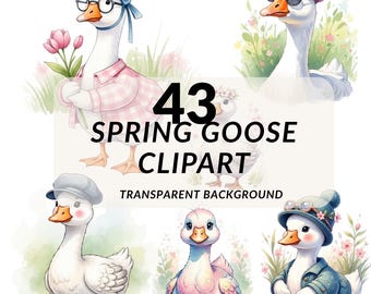 Watercolor Goose Clipart PNG Bundle, 43 Rustic Farm Goose Illustrations, Transparent Background