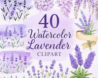 Clipart di lavanda: 40 fiori viola in formato PNG (download digitale)