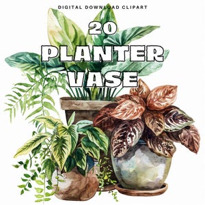 20 Pflanzervase Aquarell Clipart, botanische Topf PNG, handbemalte Blumenkunst, digitaler Download, Blumentopf PNG Clipart