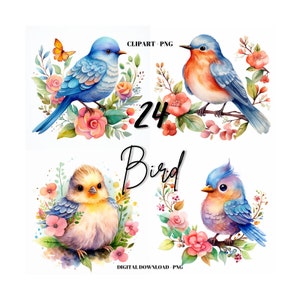 Vogel Clipart, 24 süße Vögel Clipart PNG, Vogel Blumen Bilder Bundle, Tier Clipart, Tier Vögel Illustrationen, Kartenherstellung, digitales Handwerk
