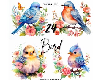 Bird Clipart: 24 Animals Clipart PNG (Digital Download)