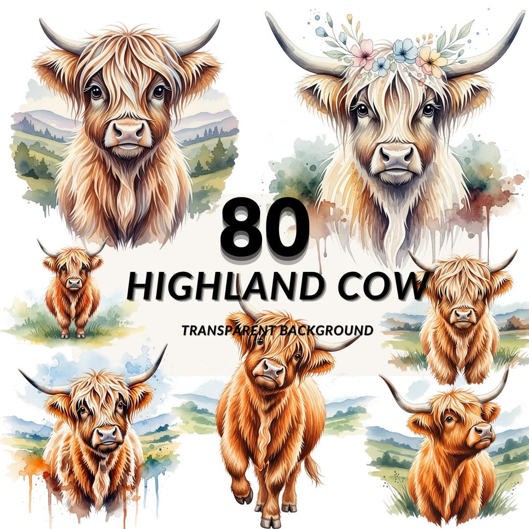 Highland Cow Clipart PNG Bundle, 80 Highland Cows, Transparent ...