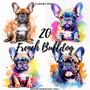 Clipart Aquarela Bulldog Francês, 20 Bulldog Francês Cute Png, Uso Comercial, Alta Qualidade, Impressão De Papel, Clipart De Animal De Estimação, Uso Comercial