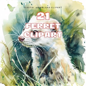 21 Ferret Clipart, Watercolor Ferret PNG, Animal Illustration, Digital Download, Cute Pet Graphics, Ferret Animal PNG, Wild Animal PNG