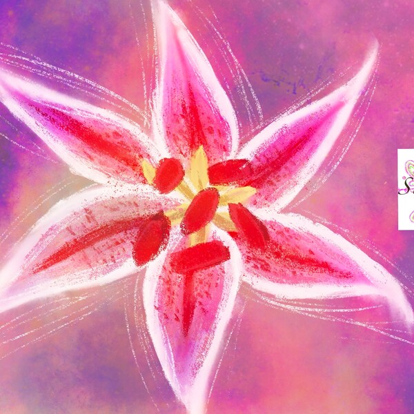 Stargazer Lily Digital Art