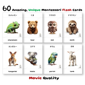 60 Baby Animal Flash Cards, Japanese Montessori, Pre-School Cards, Educational Printable Cards, Instant Download, Pdf Printable, Pre-k gift