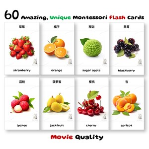60 Yummy Fruits Flash Cards, Chinese, Montessori Gift, Pre-School Cards, Educational Printable Cards, Instant Download, Pdf Printable
