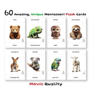 60 Baby Animal Flash Cards, Korean Montessori, Pre-School Cards, Educational Printable Cards, Instant Download, Pdf Printable, Pre-k gift