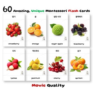 60 Yummy Fruits Flash Cards, Korean, Montessori Gift, Pre-School Cards, Educational Printable Cards, Instant Download, Pdf Printable