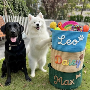 May include: A black Labrador and a white Samoyed dog pose with three stacked rope baskets. The blue basket has the name "Leo" and a paw print. The tan basket has the name "Daisy" and a paw print. The green basket has the name "Max" and a bone.