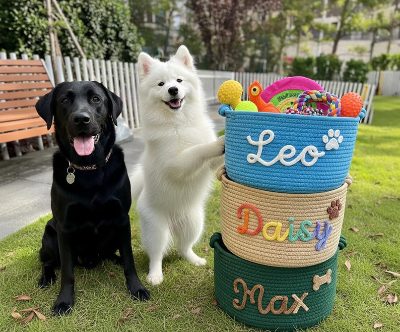 May include: A black Labrador and a white Samoyed dog pose with three stacked rope baskets. The blue basket has the name "Leo" and a paw print. The tan basket has the name "Daisy" and a paw print. The green basket has the name "Max" and a bone.