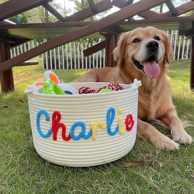May include: A cream-colored rope basket with the name "Charlie" embroidered in blue, red, and yellow. The basket is filled with dog toys and sits on the grass next to a golden retriever.