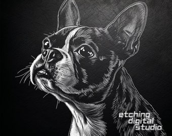 Puede incluir: Ilustración en blanco y negro de un Boston Terrier mirando hacia arriba. La imagen está sobre un fondo negro con el texto "etching digital studio" en blanco.