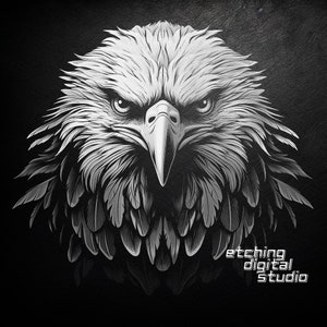 Eagle Vision PNG per incisione laser CNC, masterizzazione laser, file Glowforge, file lightburn, incisione su ardesia, design digitale PNG, laser illusione