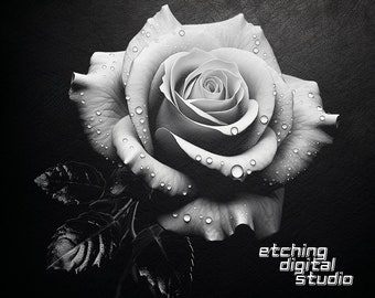 Rose PNG for CNC Laser Engrave, Laser Burn, Glowforge File, Lightburn File, Slate Coasters, Digital Design PNG, Illusion Laser