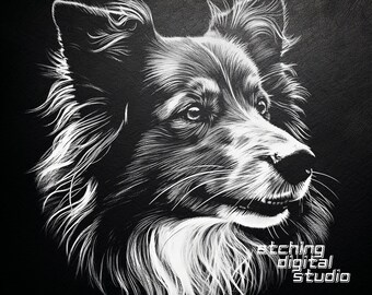 以下が含まれることがあります： 犬の頭部の白黒デジタルイラスト。犬は胸に白い斑点があり、白い鼻面をしています。イラストはざらざらとしたスタイルで描かれており、質感のある外観になっています。画像の下部には「etching digital studio」というテキストがあります。