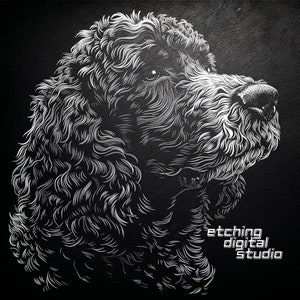 Op de afbeelding: Een zwart-witte lijntekening van een poedelkop, met de tekst "etching digital studio" rechtsonder.