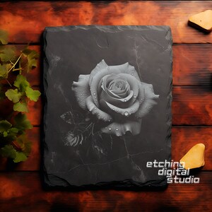 May include: A black and white image of a single rose with water droplets on the petals. The rose is on a black slate background with the text "etching digital studio" at the bottom.