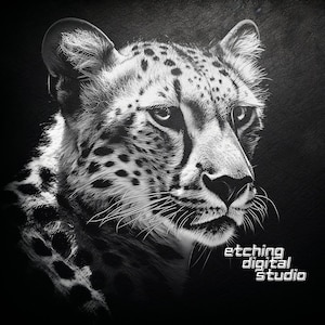 Cheetah PNG voor CNC lasergraveren, laserbranden, Glowforge-bestand, Lightburn-bestand, leisteengravure, digitaal ontwerp PNG, illusielaser, dieren in het wild