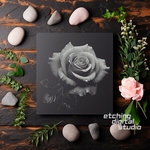 May include: A black and white photograph of a single rose with water droplets on the petals. The rose is in focus and the background is blurred. The image is framed by a black border and the text "etching digital studio" is printed in the bottom right corner.