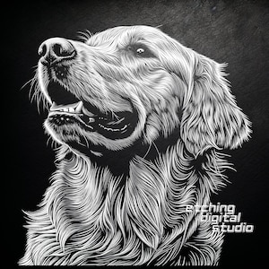 Golden Retriever hond leisteen PNG | Leistenen onderzetters gegraveerd | Leisteenborden etsen | DIY-huisdecoratie | Lasergraveerbestand | CNC-routerbestanden