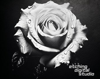 Rose PNG for CNC Laser Engrave, Laser Burn, Glowforge File, Lightburn File, Slate Coasters, Digital Design PNG, Illusion Laser