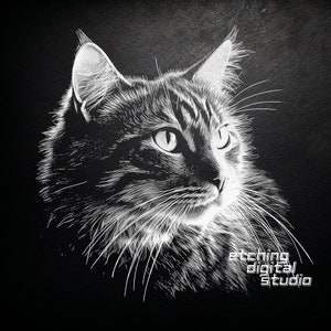 Cat PNG voor CNC-lasergraveren, laserbranden, Glowforge-bestand, lichtbranden, leisteenonderzetter, CNC-router, illusielaser, graveerontwerp