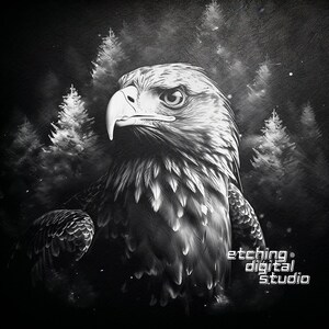May include: A black and white digital illustration of an eagle with its head turned to the left. The eagle is in front of a background of trees and a cloudy sky. The text "etching digital studio" is in the lower right corner of the image.