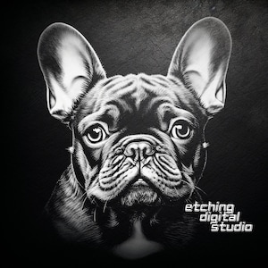 Bulldog francese ardesia PNG | Sottobicchieri in ardesia incisi | Acquaforte di tavole di ardesia | Decorazioni per la casa fai da te | File per incisione laser | File del router CNC