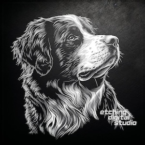 Berner Sennenhund Schiefer PNG | Schieferuntersetzer mit Gravur | Schiefertafeln Radierung | DIY-Wohnkultur | Lasergravurdatei | CNC-Router-Dateien