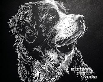 Op de afbeelding: Zwart-witte lijntekening van een Berner Sennenhond die omhoog en naar rechts kijkt. De vacht van de hond is gedetailleerd met lijnen en schaduwen. De achtergrond is zwart. De tekst "etching digital studio" staat in de rechterbenedenhoek.